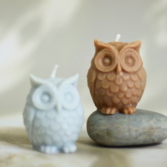 Owl Wisdom Candles (set of 2) – Aromatherapy for Meditation & Spiritual Clarity