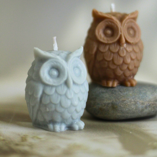 Owl Wisdom Candles (set of 2) – Aromatherapy for Meditation & Spiritual Clarity