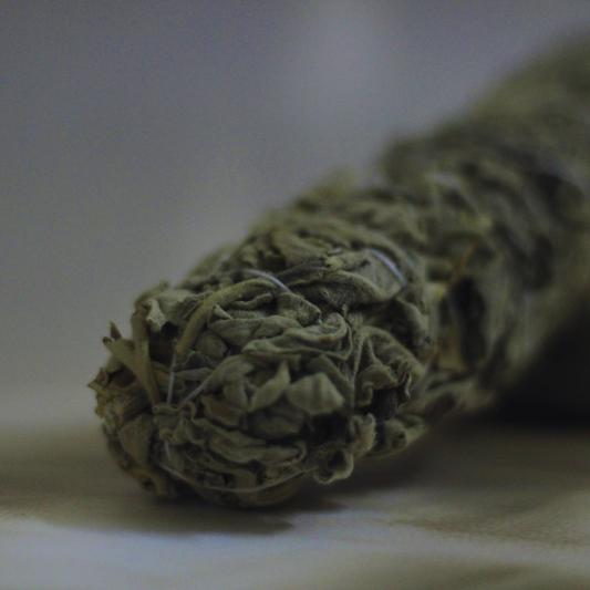 Premium Indian Sage Smudge Sticks | Pure and Potent Energy Cleansing